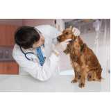 teste de leishmaniose canina Piraí