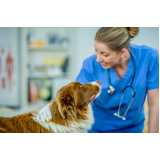 teste de leishmaniose em cães Itapetininga