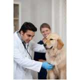 teste de pcr leishmaniose canina Serrinha