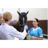 teste genético em cavalos clínica Sooretama