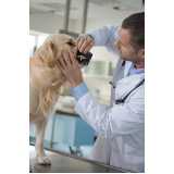 teste para leishmaniose canina Cotia
